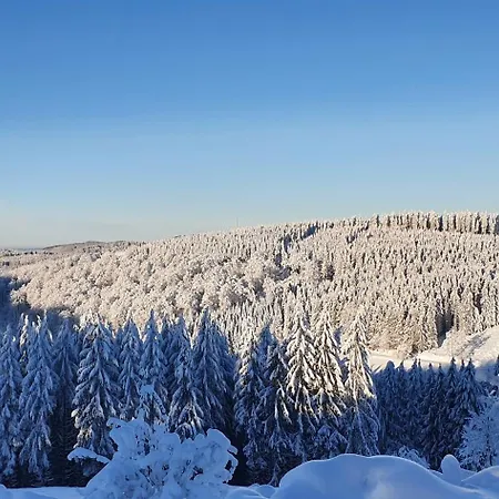 Haus Schneider Winterberg