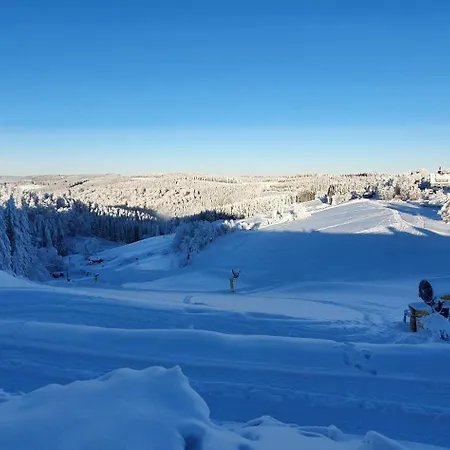 Haus Schneider Apartment *