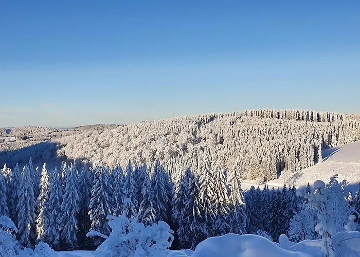 Haus Schneider Winterberg
