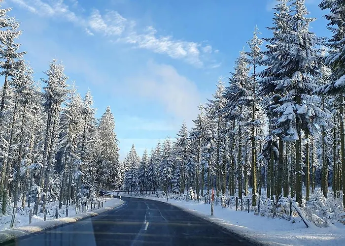 Apartmán Haus Schneider *