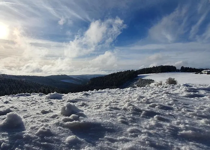 Haus Schneider Apartmán Winterberg