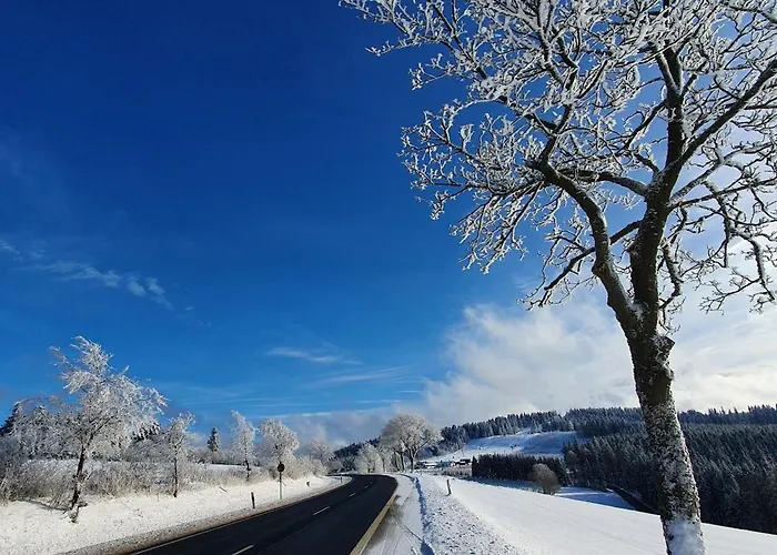 Haus Schneider Apartmán